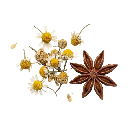 Dried chamomile flowers and star anise